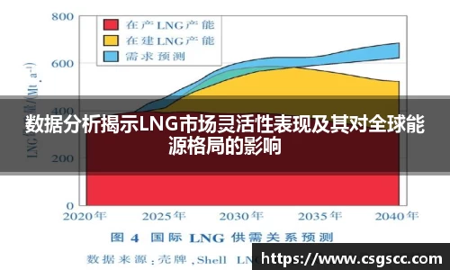数据分析揭示LNG市场灵活性表现及其对全球能源格局的影响