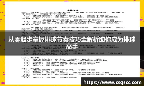 从零起步掌握排球节奏技巧全解析助你成为排球高手