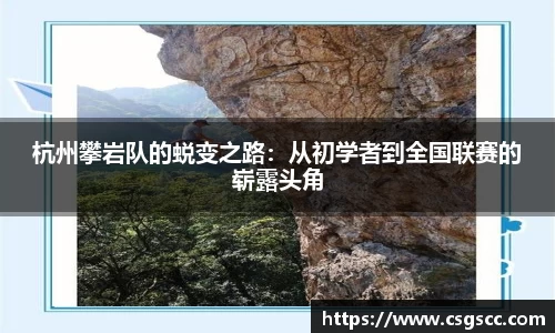 杭州攀岩队的蜕变之路：从初学者到全国联赛的崭露头角