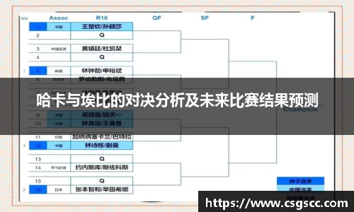 哈卡与埃比的对决分析及未来比赛结果预测