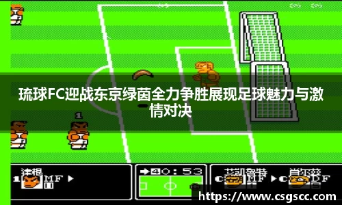 琉球FC迎战东京绿茵全力争胜展现足球魅力与激情对决