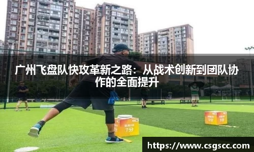 广州飞盘队快攻革新之路：从战术创新到团队协作的全面提升